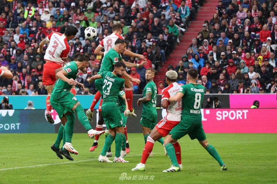 迅速反弹 迅速反弹